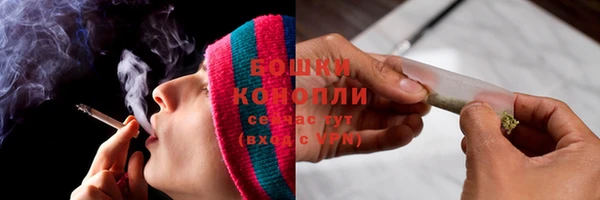 эйфоретик Покачи